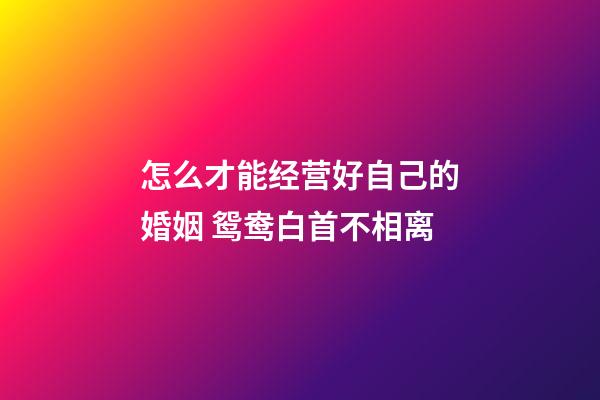 怎么才能经营好自己的婚姻 鸳鸯白首不相离